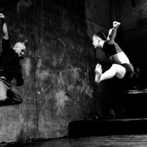 Photo of the play The Merry-Go-Round by Figurentheater Wilde & Vogel, Leipzig (photo Dana Ersing).