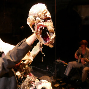 Photo of the play The Flowers of Evil, by Figurentheater Wilde & Vogel in Leipzig (photo Dana Ersing).
