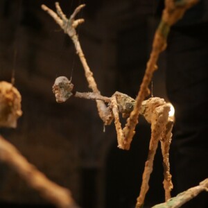 Photo of the play The Flowers of Evil, by Figurentheater Wilde & Vogel in Leipzig (photo Dana Ersing).