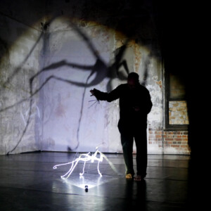 Photo of the play I am not in a Room, by Figurentheaters Wilde & Vogel in Leipzig (photo Dana Ersing).