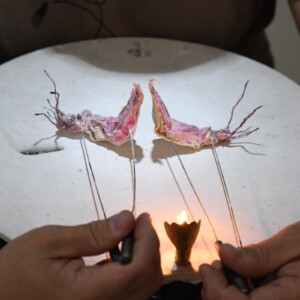 Photo of the play Micro by Figurentheater Wilde & Vogel in Leipzig (photo Joachim Fleischer).