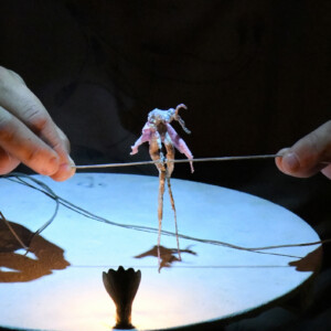 Foto des Theaterstück Micro des Figurentheaters Wilde & Vogel in Leipzig (foto Joachim Fleischer).