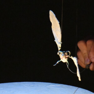 Foto des Theaterstück Micro des Figurentheaters Wilde & Vogel in Leipzig (foto Joachim Fleischer).