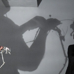 Photo of the play Micro by Figurentheater Wilde & Vogel in Leipzig (photo Joachim Fleischer).