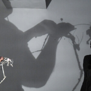 Photo of the play Micro by Figurentheater Wilde & Vogel in Leipzig (photo Joachim Fleischer).