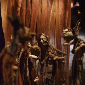 Foto des Theaterstück Der Hobbit des Figurentheaters Wilde & Vogel in Leipzig (foto Thilo Neubacher).