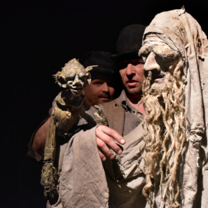 Photo of the play The Hobbit, by Figurentheater Wilde & Vogel in Leipzig (photo Thilo Neubacher).