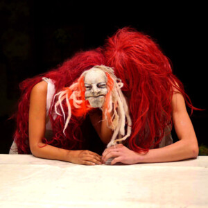 Photo of the play Zaches, by Figurentheater Lehmann & Wenzel with Michael Vogel, Leipzig (Photo Thilo Neubacher).