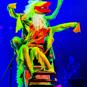 Foto des Theaterstück Little Shop of Horrors des Figurentheaters Wilde & Vogel in Leipzig (Foto Michał Strokowski).