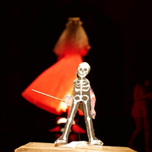 Photo of the play The fatal Marksman, by Figurentheater Lehmann & Wenzel with Michael Vogel, Leipzig (Photo Dana Ersing).