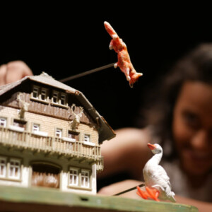 Photo of the play The fatal Marksman, by Figurentheater Lehmann & Wenzel with Michael Vogel, Leipzig (Photo Dana Ersing).