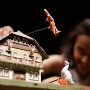 Photo of the play The fatal Marksman, by Figurentheater Lehmann & Wenzel with Michael Vogel, Leipzig (Photo Dana Ersing).