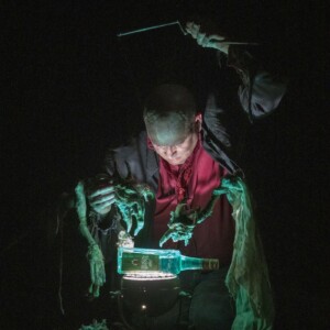 Photo: Chicago International Puppet Theater Festival  2024 Photo of the performance Spleen by Figurentheater Wilde & Vogel in Leipzig (Photo Richard Termine).