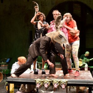 Foto der Aufführung Farm der Tiere des Figurentheater sWilde & Vogel (Foto Dana Ersing)