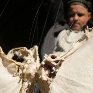 Foto der Aufführung [Exit. dess Figurentheater Wilde & Vogel in Leipzig (Photo Dana Ersing).