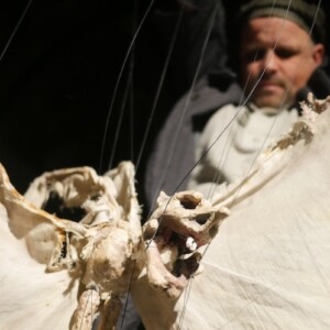 Foto der Aufführung [Exit. dess Figurentheater Wilde & Vogel in Leipzig (Photo Dana Ersing).