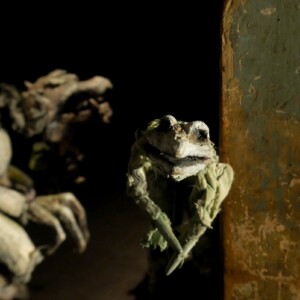 Photo of Toccata: a performance by Figurentheaters Wilde & Vogel, Leipzig (photo Dana Ersing)