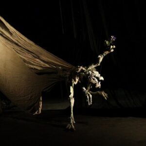 Photo of Toccata: a performance by Figurentheaters Wilde & Vogel, Leipzig (photo Dana Ersing)